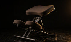 Relaxbro e420 · The Posture Ergonomic Chair